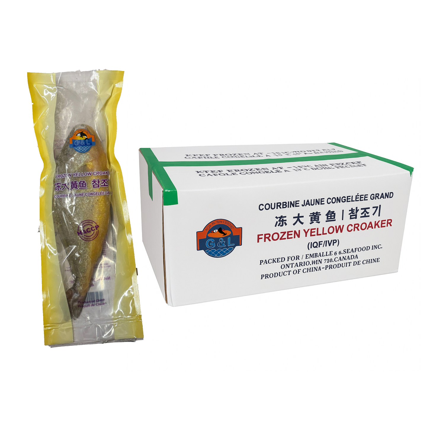 Yellow Croaker - Size 400/500