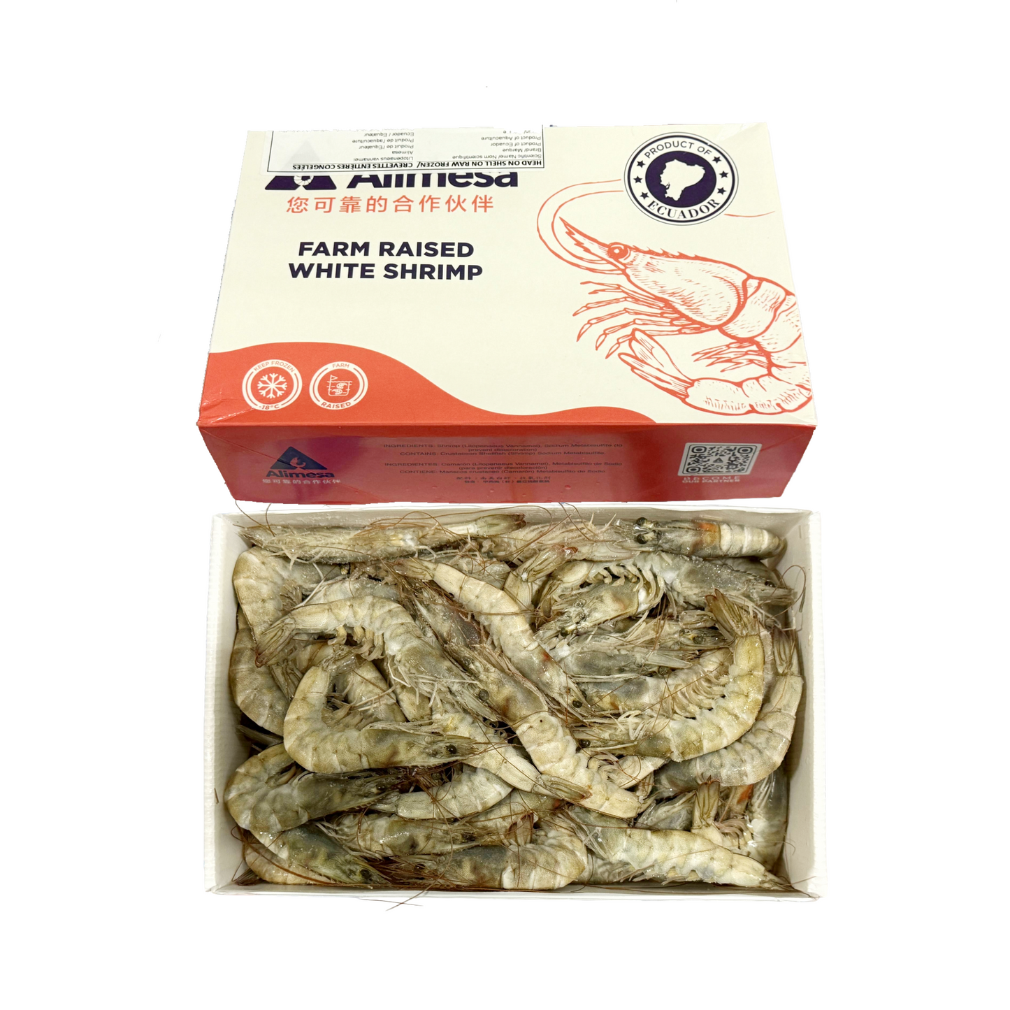 EW-Head on- White Shrimp - Size 30/40