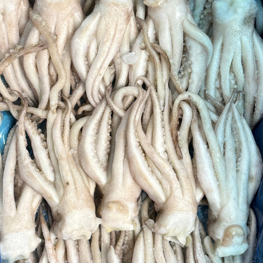 Squid Tent(New Zealand) - Size 120up