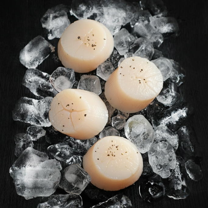 Scallop Meat -Size 60/80 China