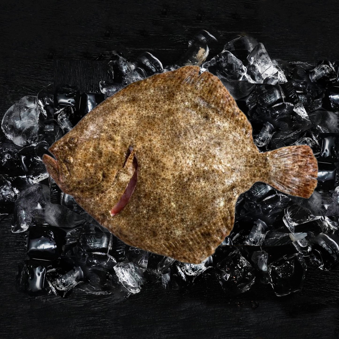 Turbot(Head and Tail off, gutted )