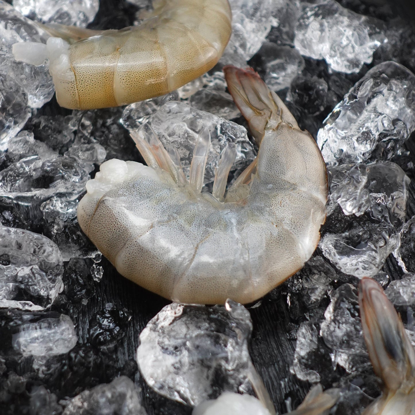 India White Shrimp no head - Size 26/30