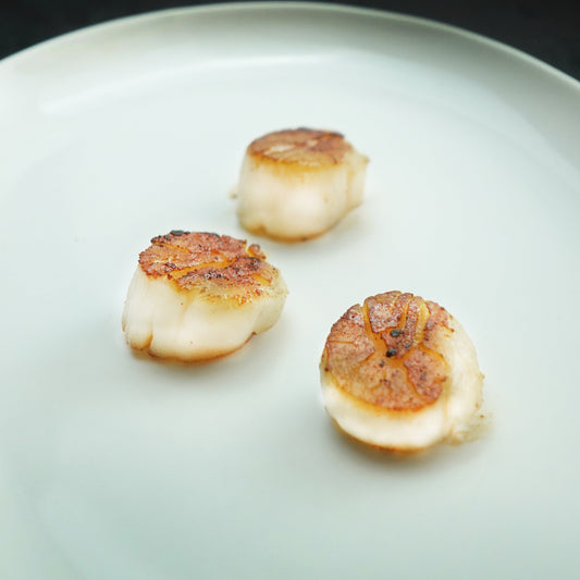 Japan Scallop IQF(Meat Only) -Size 20/30