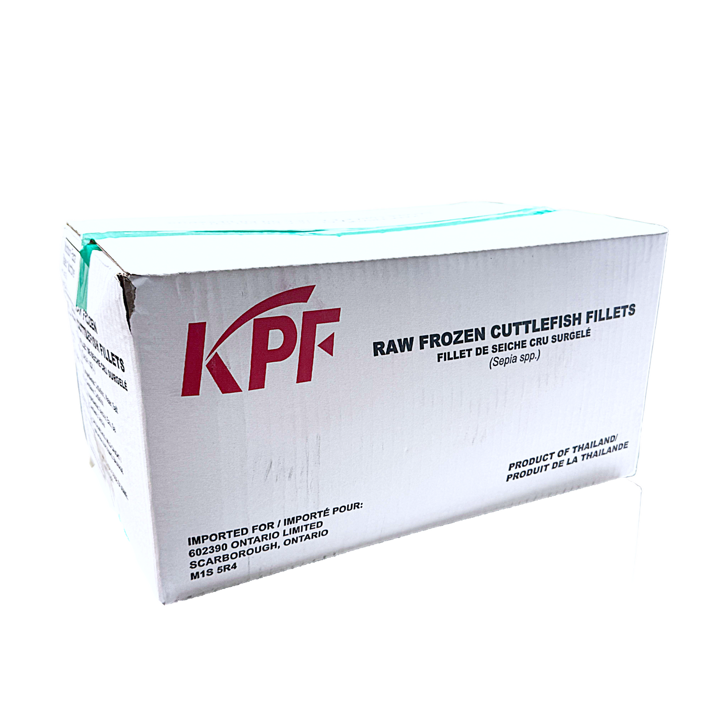 Cuttlefish - Size 10/20