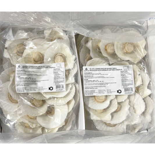 Frozen Half Shell Scallop - Size9-10cm