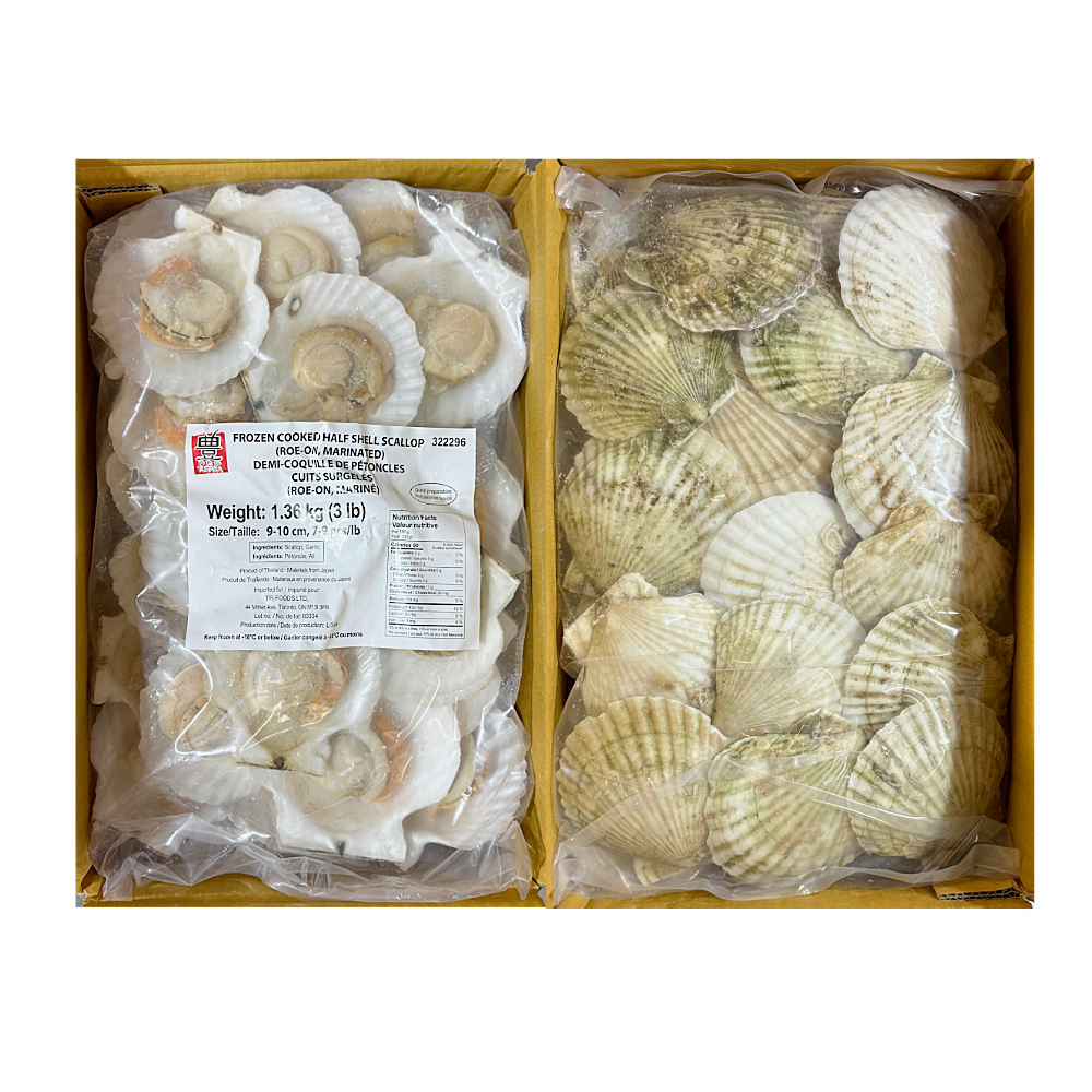 Frozen Half Shell Scallop - Size9-10cm