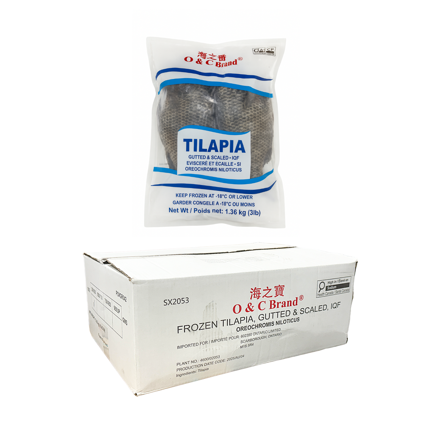 Frozen Whole Tilapia(Clean) - Size 550/750