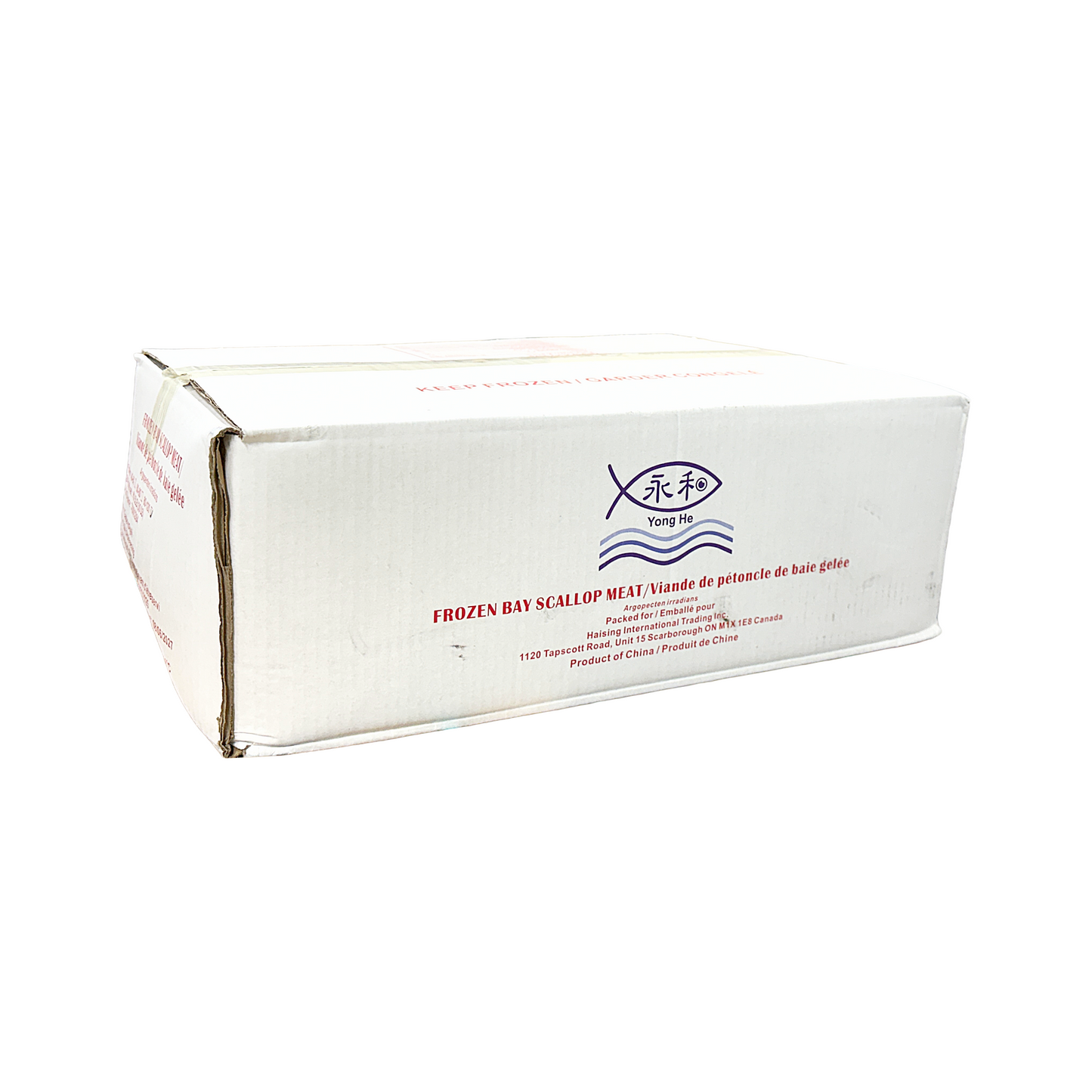 Scallop Meat -Size 60/80 China