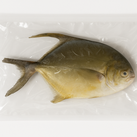 Whole round Pompano - Size 600/800