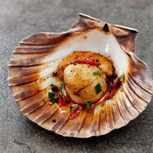 Frozen Half Shell Scallop - Size9-10cm