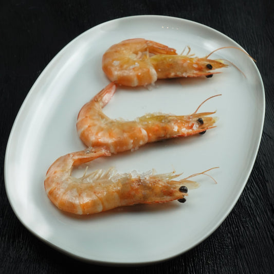 EW-Head on- White Shrimp - Size 30/40