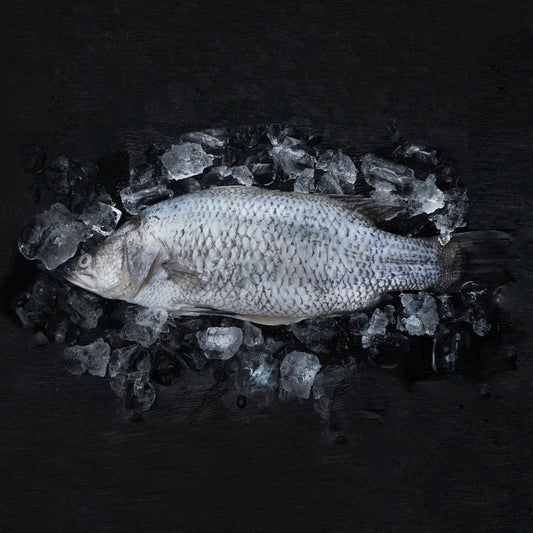 Frozen Whole Tilapia(Clean) - Size 550/750