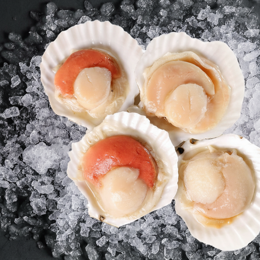 Half Shell Scallop - Size 12/14