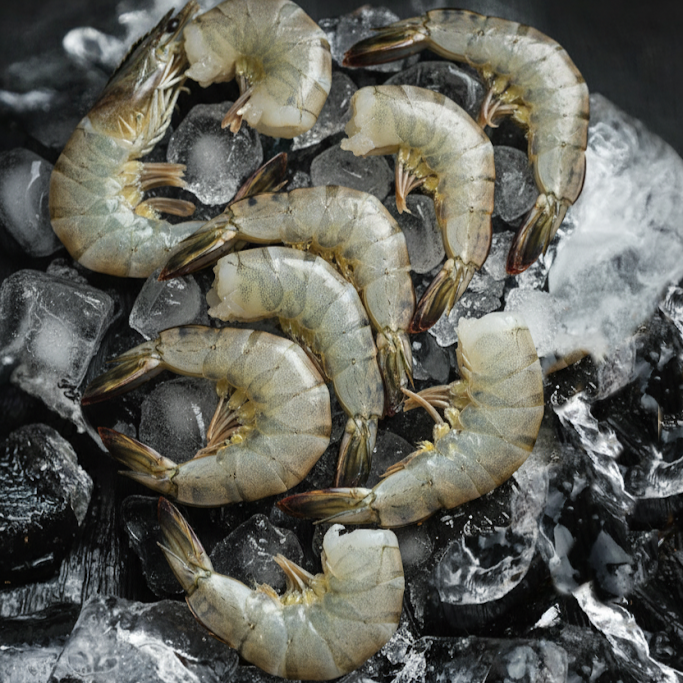 Vietnam Tiger Shrimp no head (IQF) - Size 13/15