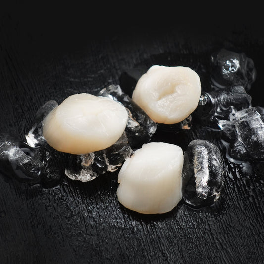 Japan Scallop IQF（Meat Only） -Size 20/30